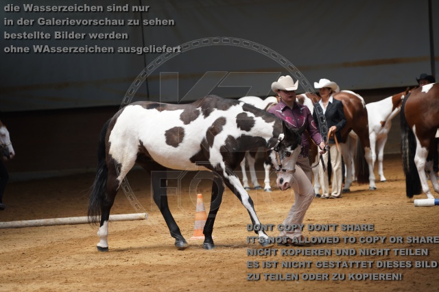 s_A_900449.JPG